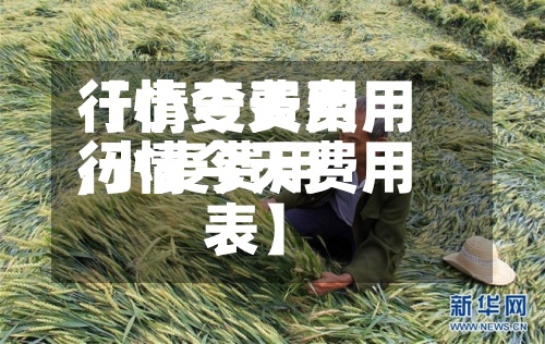【小麦费用
行情今天费用
,小麦费用
行情今天费用
表】-第2张图片