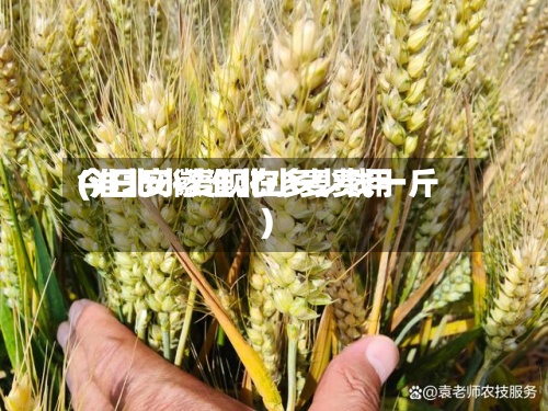 今日安徽淮北小麦费用(淮北小麦现在多少钱一斤)-第2张图片