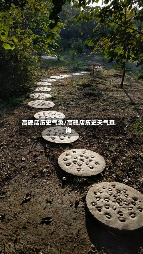 高碑店历史气象/高碑店历史天气查询