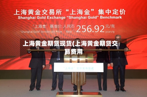 上海黄金期货现货(上海黄金期货交易费用)-第3张图片