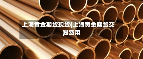 上海黄金期货现货(上海黄金期货交易费用)-第2张图片