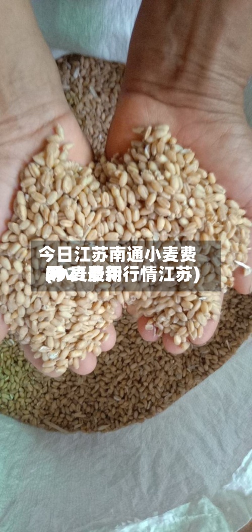 今日江苏南通小麦费用(小麦费用2021最新行情江苏)-第3张图片