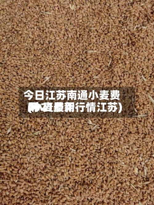 今日江苏南通小麦费用(小麦费用2021最新行情江苏)-第2张图片