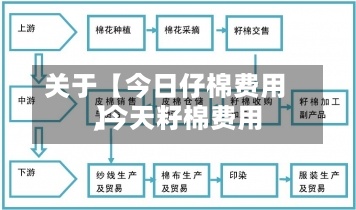 关于【今日仔棉费用,今天籽棉费用】-第2张图片
