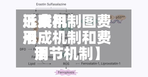 近来【费用形成机制图费用形成机制和费用调节机制】-第2张图片
