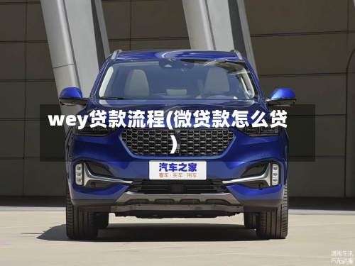wey贷款流程(微贷款怎么贷)-第3张图片