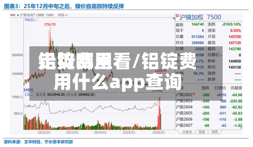 铝锭费用走势哪里看/铝锭费用用什么app查询-第2张图片