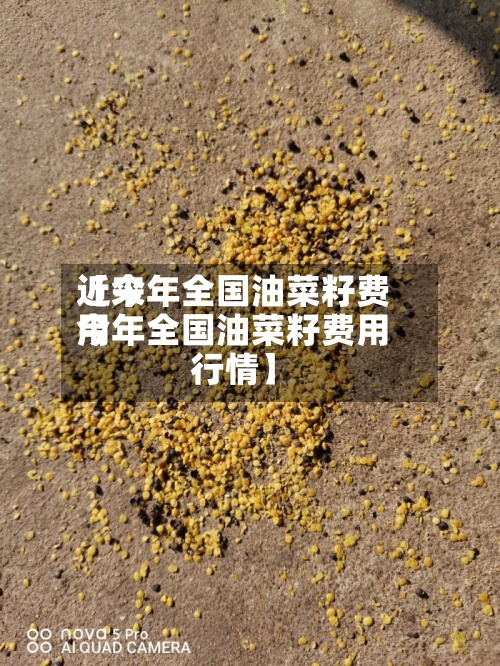 近来【今年全国油菜籽费用今年全国油菜籽费用行情】