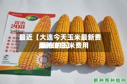 最近【大连今天玉米最新费用
,现在的玉米费用
最新消息】-第2张图片