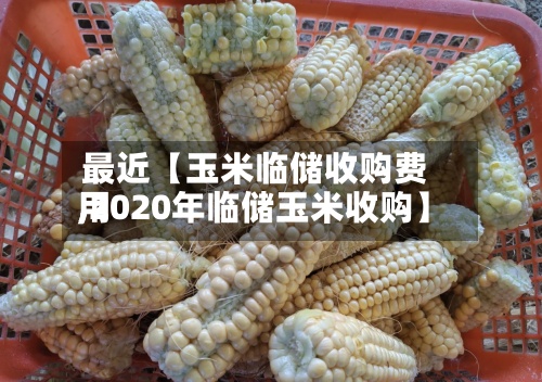 最近【玉米临储收购费用,2020年临储玉米收购】