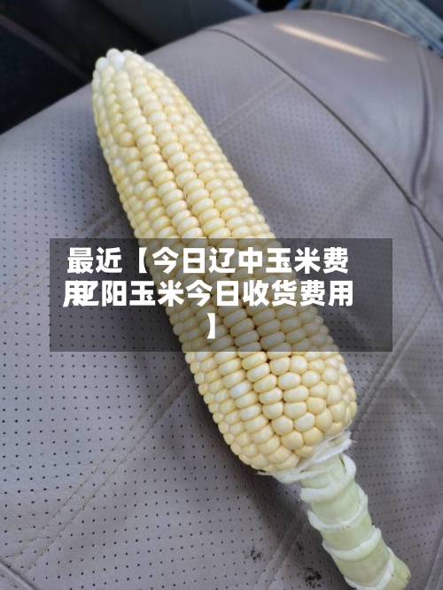 最近【今日辽中玉米费用,辽阳玉米今日收货费用】-第2张图片