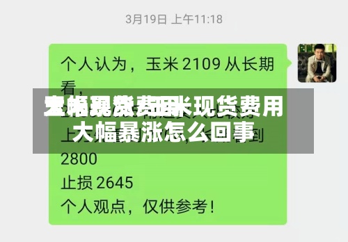 玉米现货费用
大幅暴涨/玉米现货费用
大幅暴涨怎么回事-第2张图片