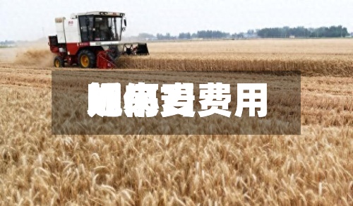 近来【小麦费用呢小麦费用如何?】