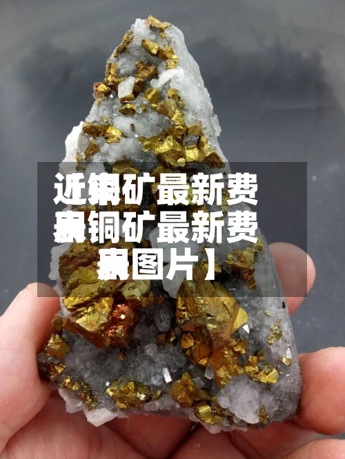 近来【铜矿最新费用表铜矿最新费用表图片】