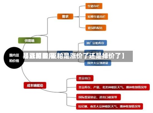 【豆粕费用暴涨原因,豆粕是涨价了还是掉价了】