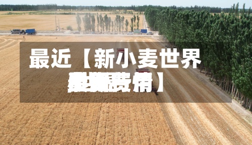 最近【新小麦世界费用,世界小麦费用最新行情】-第2张图片