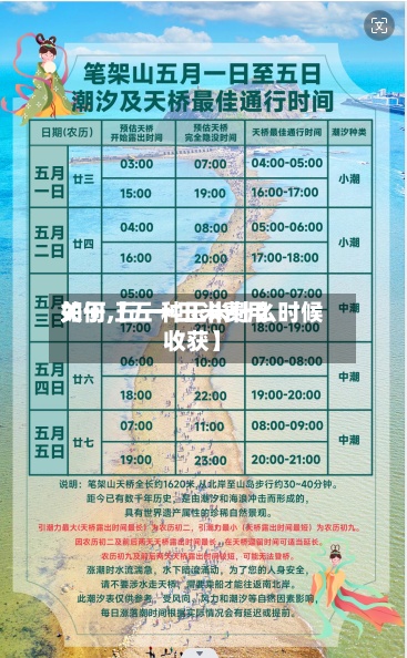 关于【五一玉米费用如何,五一种玉米什么时候收获】