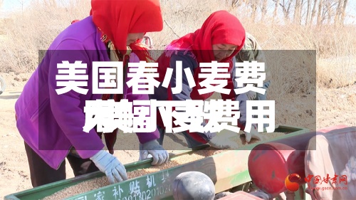美国春小麦费用
/美小麦费用
大幅下跌-第2张图片