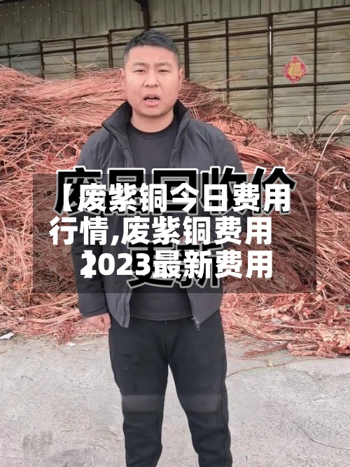 【废紫铜今日费用行情,废紫铜费用2023最新费用】-第2张图片