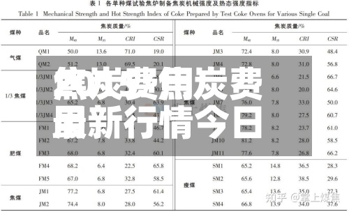 焦炭费用
2015/焦炭费用
最新行情今日-第2张图片