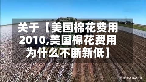 关于【美国棉花费用
2010,美国棉花费用
为什么不断新低】-第2张图片