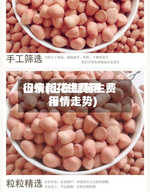 山东新花生费用行情(山东新花生费用行情走势)