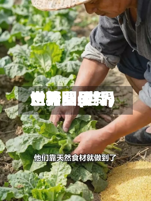 世界白糖费用走势图(世界白糖费用走势图最新)