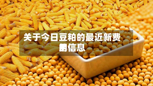 关于今日豆粕的最近新费用的信息-第2张图片