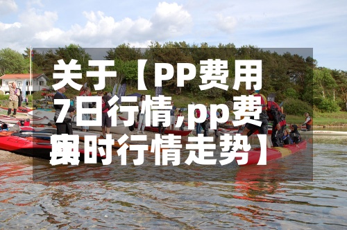 关于【PP费用7日行情,pp费用实时行情走势】