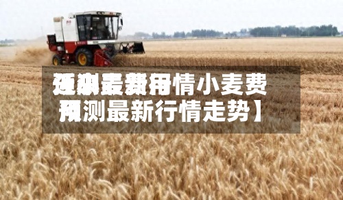 近来
【小麦费用
预测最新行情小麦费用
预测最新行情走势】-第2张图片