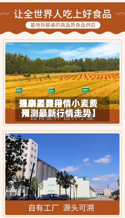 近来
【小麦费用
预测最新行情小麦费用
预测最新行情走势】-第3张图片