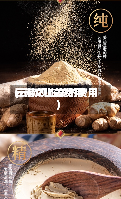 云南文山姜费用(云南现在姜的费用)-第2张图片
