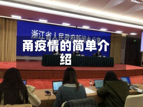 甬疫情的简单介绍-第3张图片
