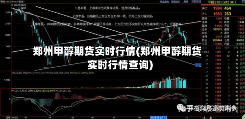 郑州甲醇期货实时行情(郑州甲醇期货实时行情查询)