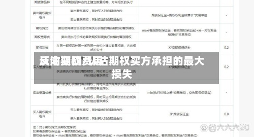 认沽期权费用
反向变动/认沽期权买方承担的最大损失-第3张图片