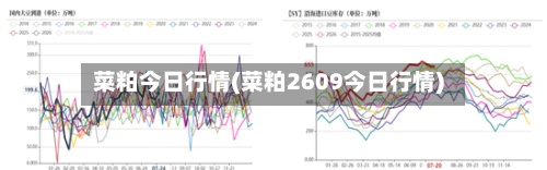 菜粕今日行情(菜粕2609今日行情)