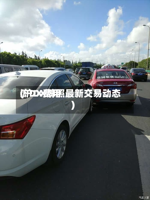 沪DX费用(沪DX牌照最新交易动态)-第2张图片