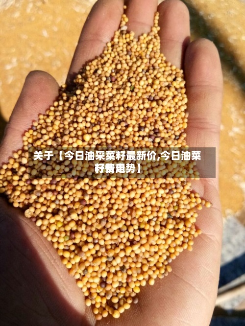关于【今日油采菜籽最新价,今日油菜籽费用
行情走势】-第2张图片