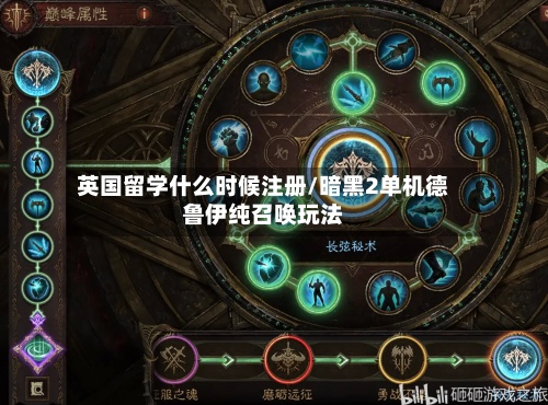 英国留学什么时候注册/暗黑2单机德鲁伊纯召唤玩法-第3张图片