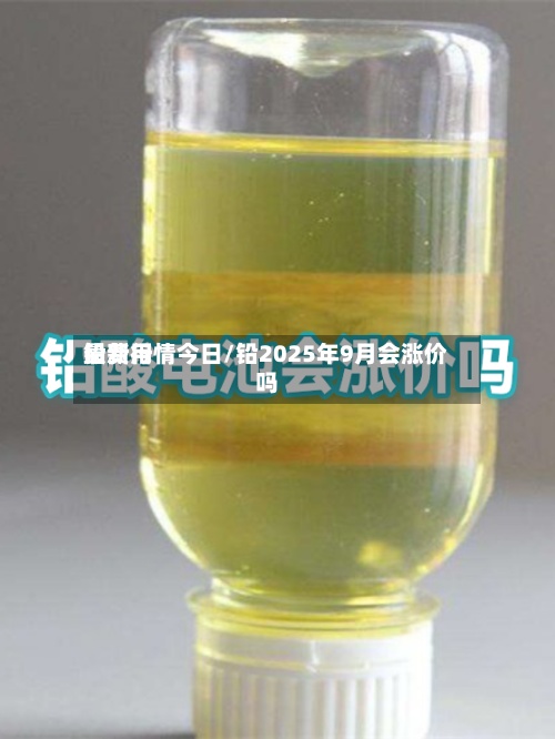 铅费用
最新行情今日/铅2025年9月会涨价吗-第3张图片
