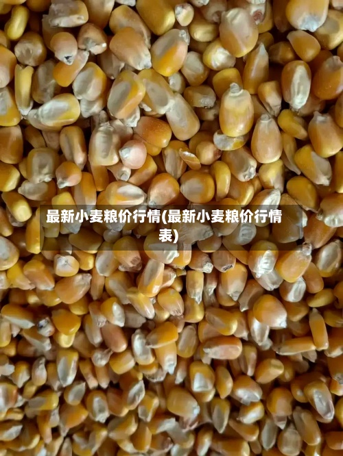 最新小麦粮价行情(最新小麦粮价行情表)-第3张图片