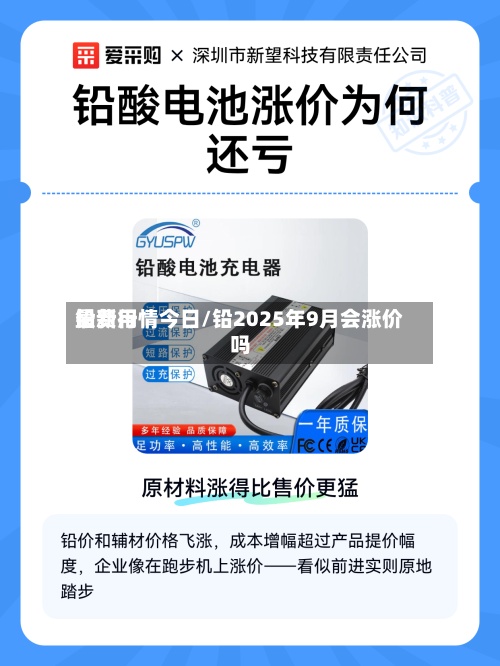 铅费用
最新行情今日/铅2025年9月会涨价吗-第2张图片