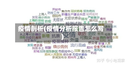 疫情剖析(疫情分析报告怎么写)