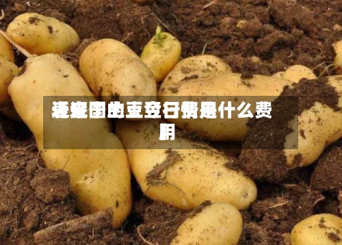 近来
【辽宁土豆今日费用
表全国的土豆行情是什么费用
】-第2张图片