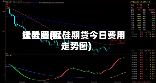 锰硅费用
走势图(锰硅期货今日费用
走势图)-第3张图片
