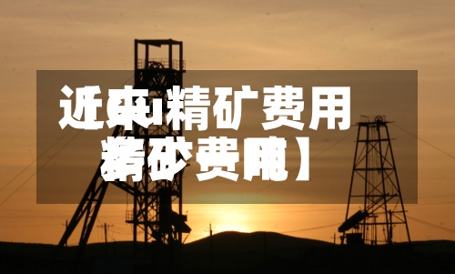 近来【Cu精矿费用精矿费用多少一吨】