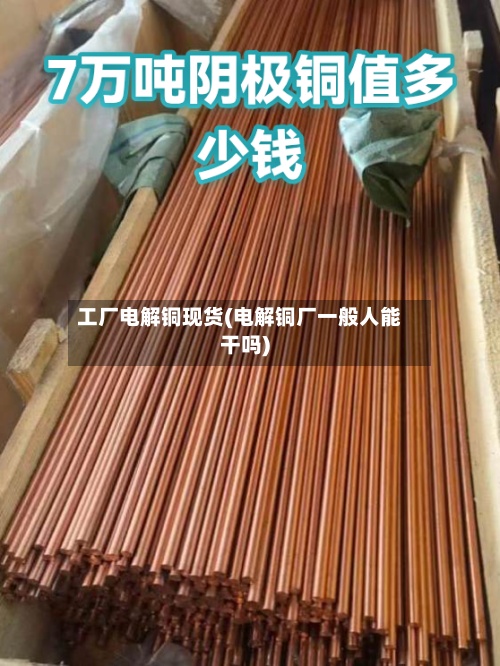 工厂电解铜现货(电解铜厂一般人能干吗)