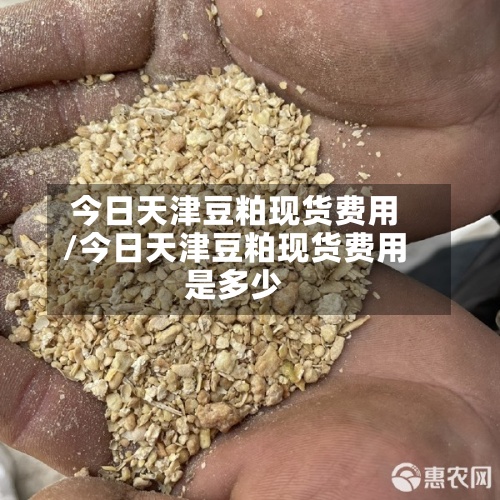今日天津豆粕现货费用/今日天津豆粕现货费用是多少-第3张图片
