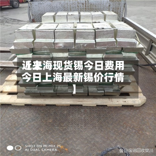 近来【上海现货锡今日费用今日上海最新锡价行情】