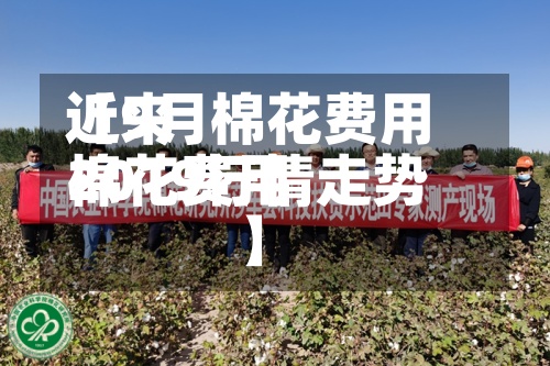 近来【9月棉花费用棉花费用2019行情走势】-第3张图片